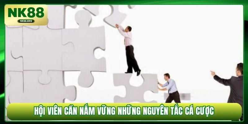 Hội viên cần nắm vững những nguyên tắc cá cược