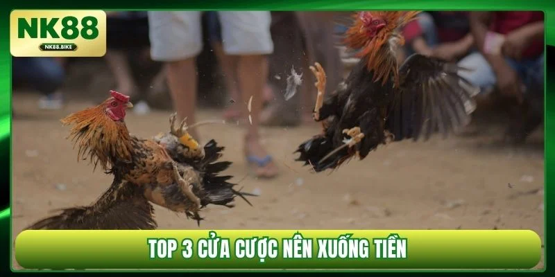 Top 3 cửa cược nên xuống tiền